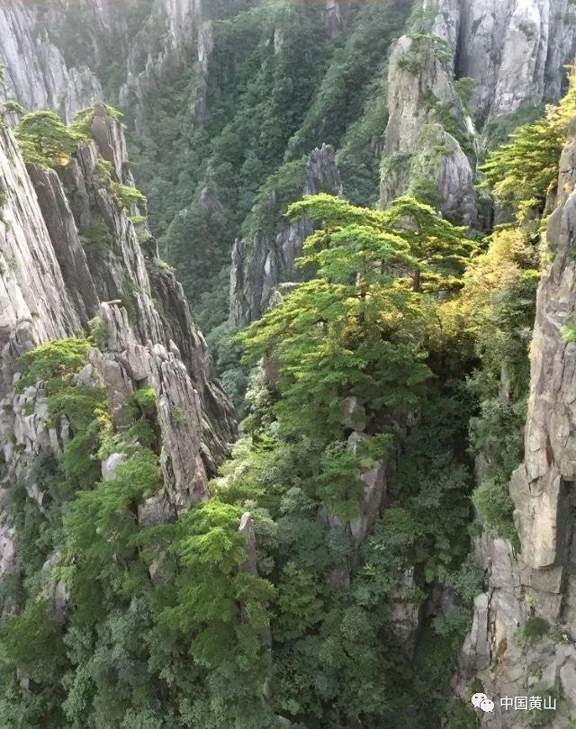 海南：在最穷的地方，看到中国经济的另一面