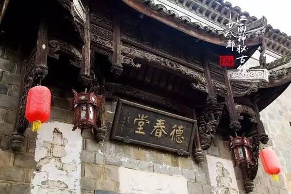 细胞分裂4