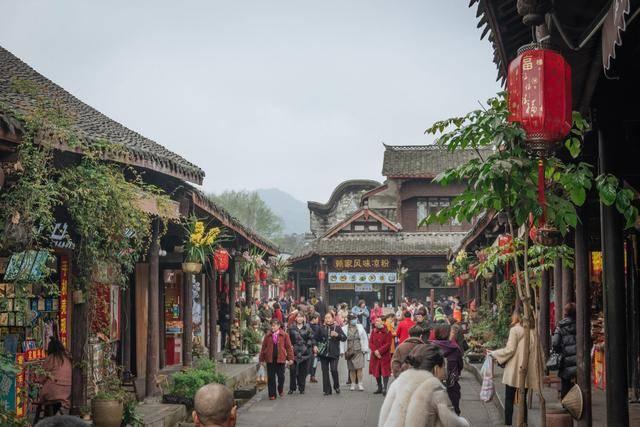 动物帮帮忙保卫家园