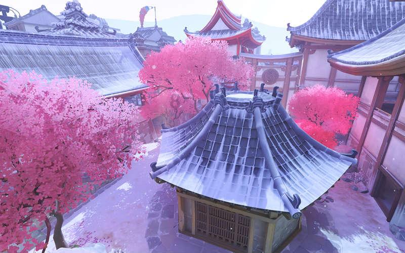 逃离金刚鹦鹉森林